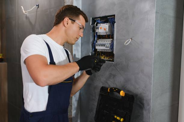 Best Home Electrical Repair  in South Alamo, TX