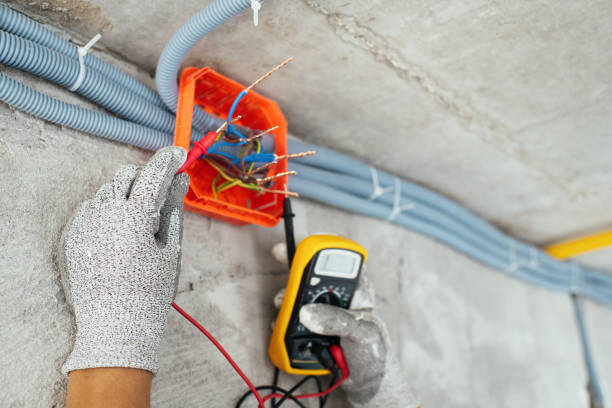 Best Electrician for Home Renovation  in South Alamo, TX